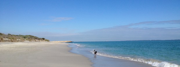 South Beach winter 2014 crop